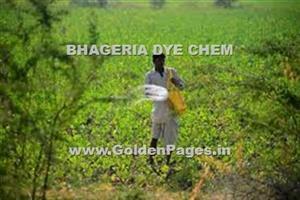 > </div>
<div class=